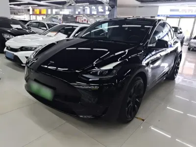 Tesla Model Y · 2022 год