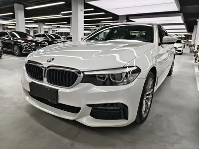 BMW 5 Series · 2019 год