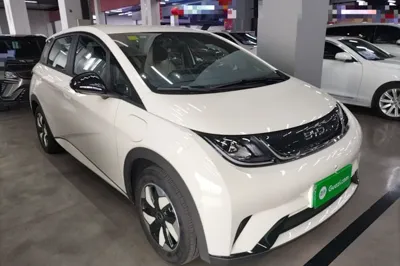 BYD Dolphin 2025, 1700 км, за 90943.23 CNY