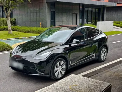 Tesla Model Y · 2023 год