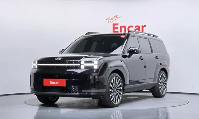 Hyundai Santafe · 2024 год