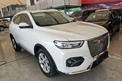 Haval H6 2021, 43800 км, за 59343.03 CNY