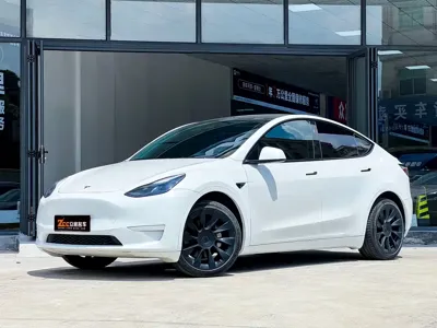 Tesla Model Y · 2024 год
