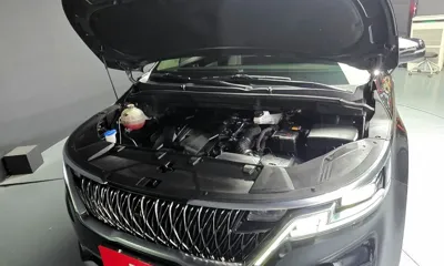 Kia Canival 2021, 76441 км, за 27500000 KRW - фото 6