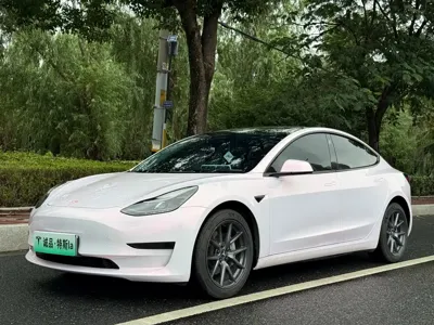 Tesla Model 3 · 2022 год