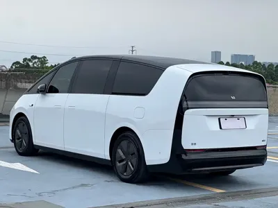 Li Auto Li MEGA 2025, 37000 км, за 468000 CNY