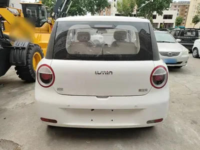Qiyuan Lumin 2026, 100 км, за 44400 CNY - фото 6