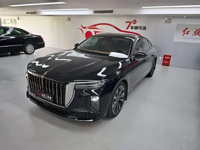 Hongqi Hongqi H9 · 2024 год