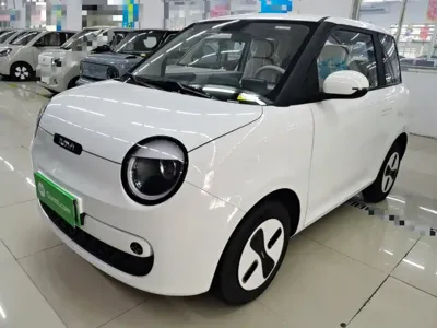 Qiyuan Lumin · 2026 год