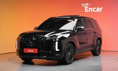 Hyundai Palisade · 2024 год