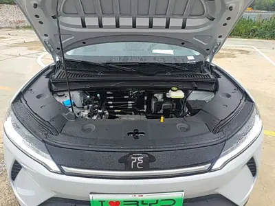BYD Yuan Up 2026, 100 км, за 67000 CNY - фото 20