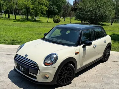 MINI MINI · 2015 год