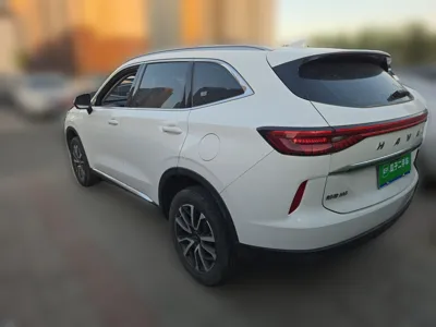 Haval H6 2021, 47900 км, за 57787.68 CNY - фото 4