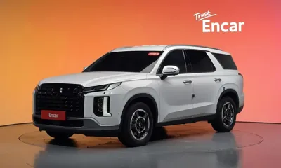 Hyundai Palisade · 2023 год