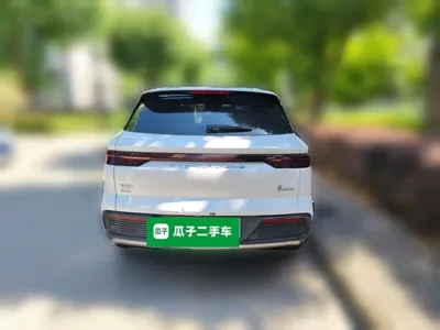 BYD Pro New Energy 2023, 59800 км, за 74400 CNY - фото 13
