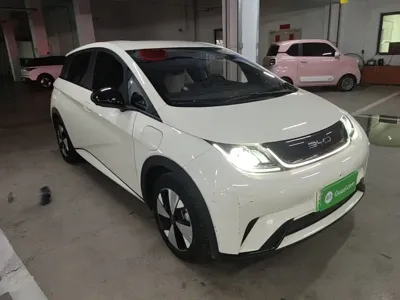 BYD Dolphin 2023, 29200 км, за 58099 CNY
