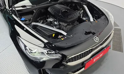 Kia Stinger 2020, 121270 км, за 19200000 KRW - фото 6