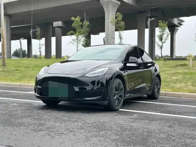 Tesla Model Y · 2024 год