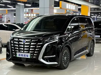 Denza Denza D9 · 2025 год
