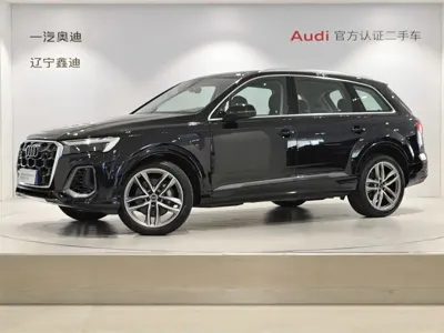 Audi Q7 · 2024 год
