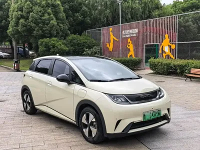 BYD Dolphin 2024, 28000 км, за 66800 CNY