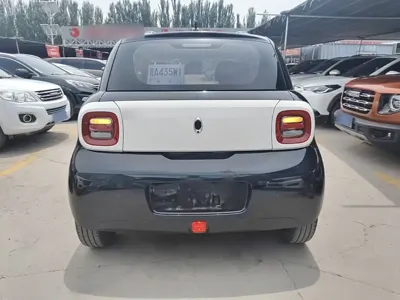 ORA Ora Black Cat 2021, 56200 км, за 37300 CNY - фото 6