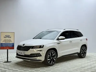 Skoda Karoq · 2023 год