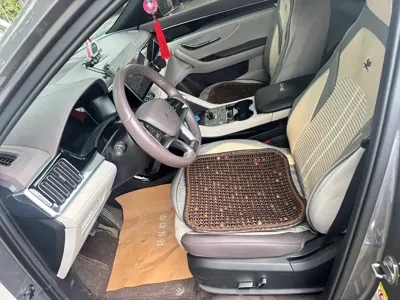 BYD PLUS New Energy 2025, 37000 км, за 98800 CNY