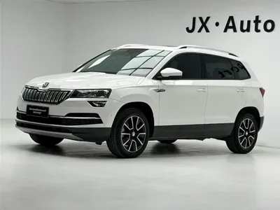Skoda Karoq · 2019 год
