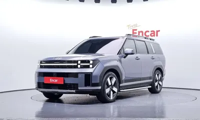 Hyundai Santafe · 2025 год