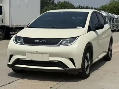 BYD Dolphin · 2023 год