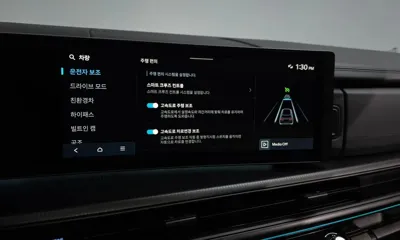 Hyundai Santafe 2024, 17200 км, за 45500000 KRW - фото 33