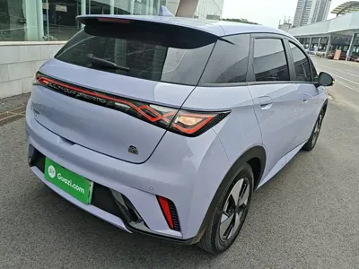 BYD Dolphin 2023, 76500 км, за 60400 CNY - фото 25