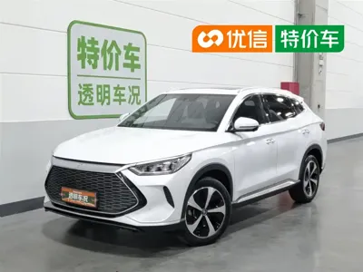BYD PLUS New Energy · 2023 год