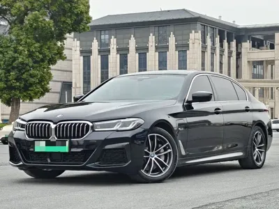 BMW 5 Series New Energy · 2022 год