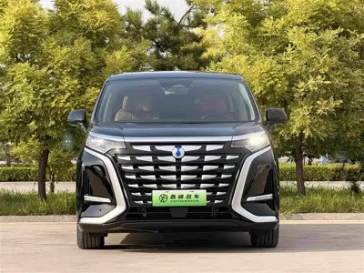Denza Denza D9 2024, 27000 км, за 249800 CNY