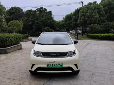 BYD Dolphin 2024, 28000 км, за 66800 CNY