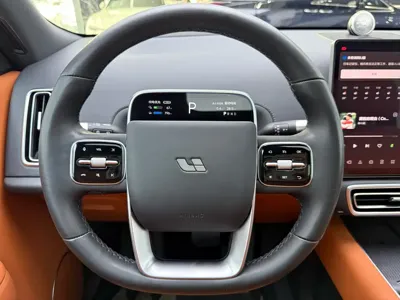 Li Auto Li L8 2023, 19000 км, за 218000 CNY - фото 9