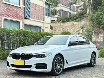 BMW 5 Series · 2019 год