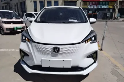 Changan Benni E-Star 2020, 70300 км, за 45855.7 CNY - фото 2