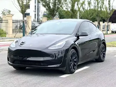 Tesla Model Y · 2022 год