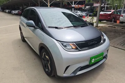 BYD Dolphin 2021, 44500 км, за 64961.39 CNY