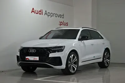 Audi Q8 · 2023 год