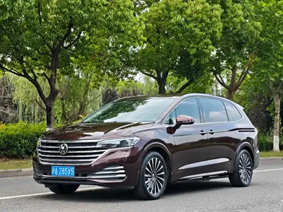 Volkswagen Viloran · 2020 год
