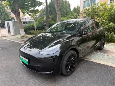 Tesla Model Y · 2022 год