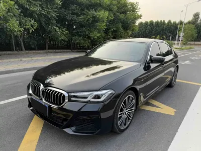 BMW 5 Series · 2017 год