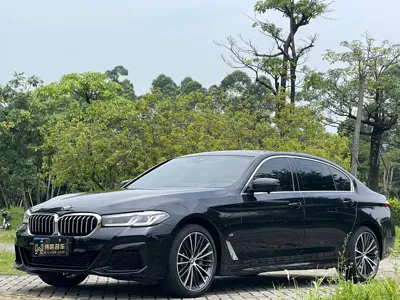 BMW 5 Series · 2023 год