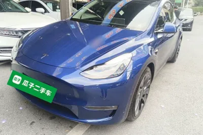 Tesla Model Y · 2021 год