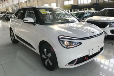 Dongfeng NAMMI 01 2026, 100 км, за 73882.55 CNY
