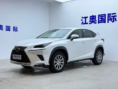 Lexus NX · 2021 год